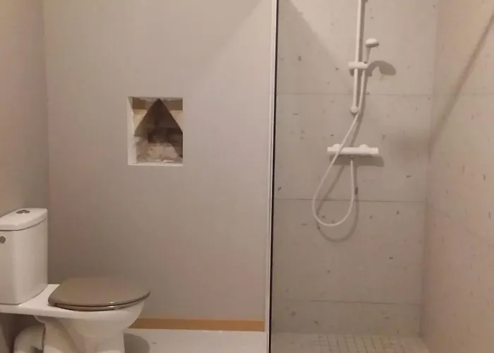 Arbousiers Vendays-Montalivet